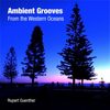 https://staging.bluewolf-reviews.com/music/ambient-grooves-from-the-western-ocean/
