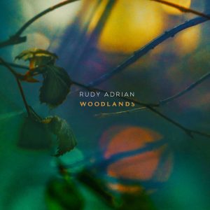 https://staging.bluewolf-reviews.com/music/woodlands/