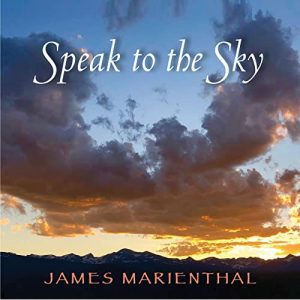 https://staging.bluewolf-reviews.com/music/speak-to-the-sky/