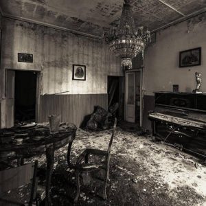 https://staging.bluewolf-reviews.com/music/beauty-and-misery/